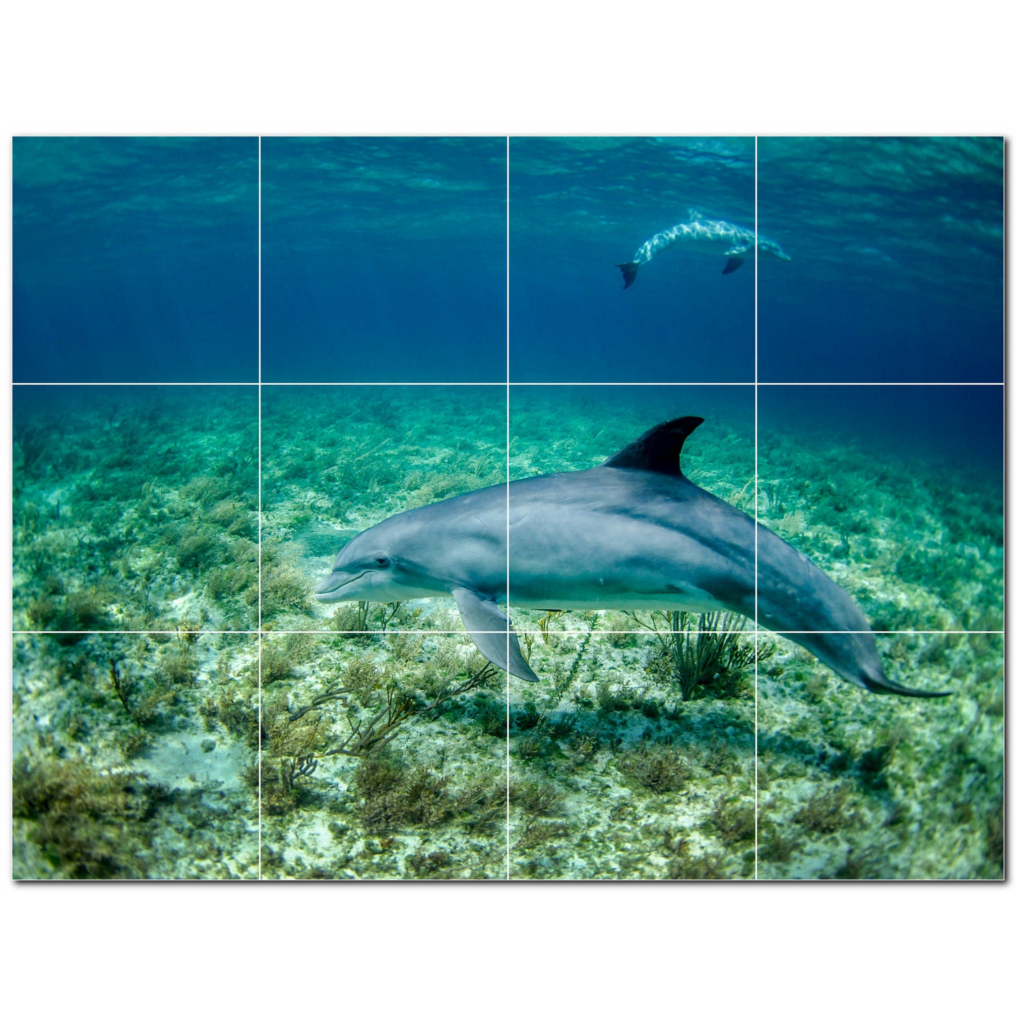 dolphin ceramic tile wall mural kitchen backsplash bathroom shower p500503