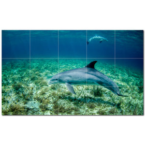 dolphin ceramic tile wall mural kitchen backsplash bathroom shower p500503