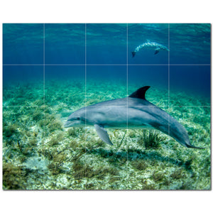 dolphin ceramic tile wall mural kitchen backsplash bathroom shower p500503