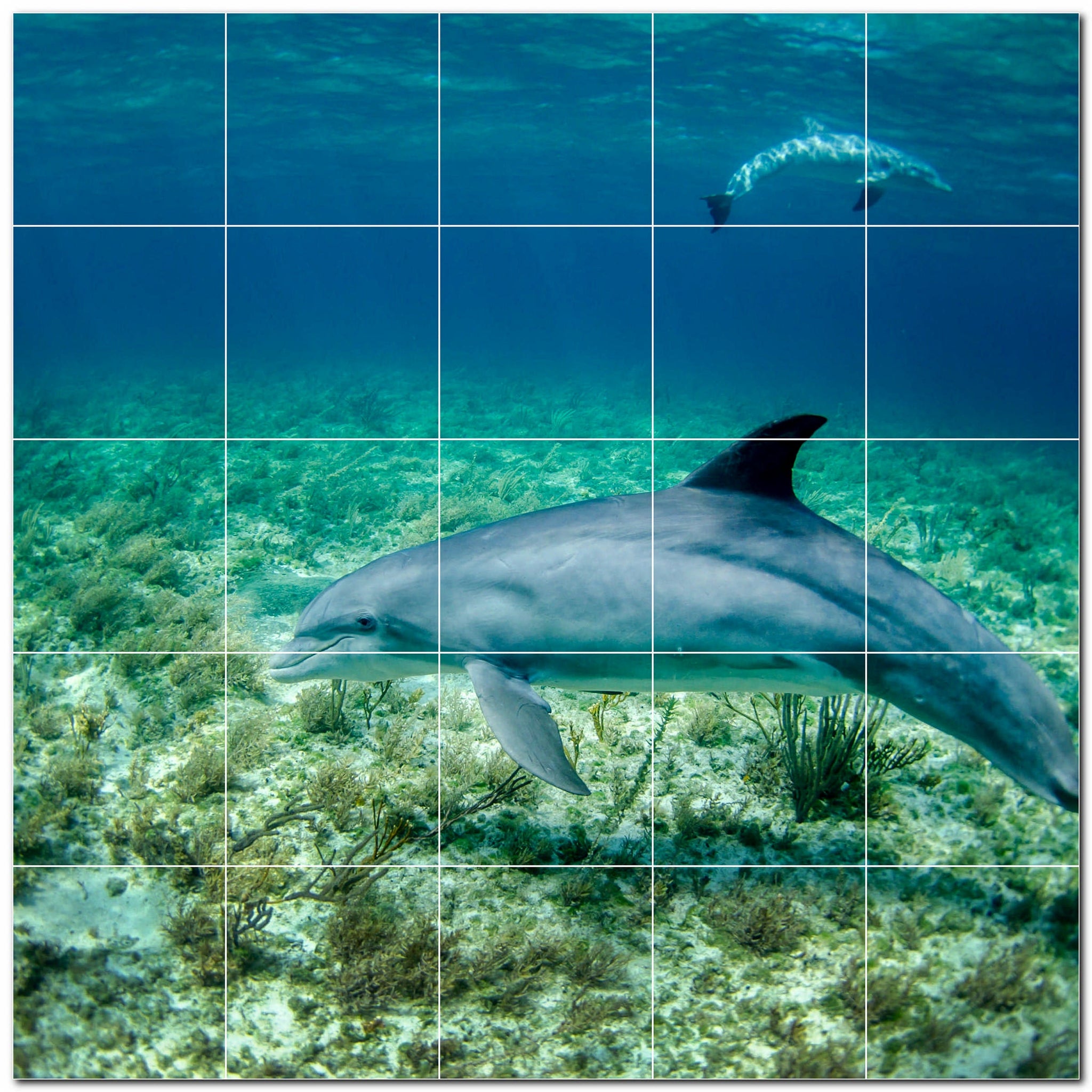 dolphin ceramic tile wall mural kitchen backsplash bathroom shower p500503