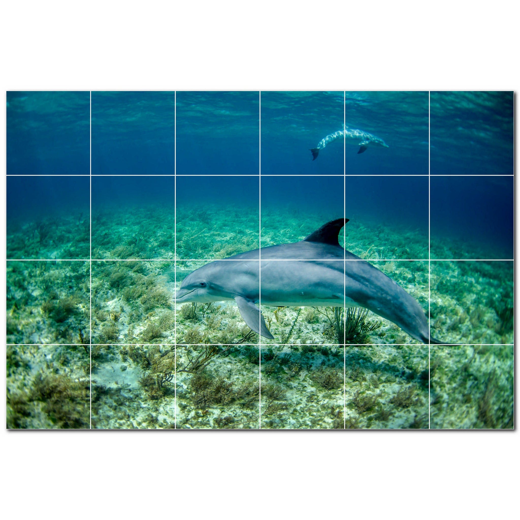 dolphin ceramic tile wall mural kitchen backsplash bathroom shower p500503