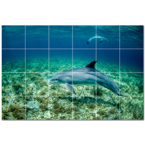 dolphin ceramic tile wall mural kitchen backsplash bathroom shower p500503