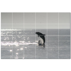 dolphin ceramic tile wall mural kitchen backsplash bathroom shower p500504