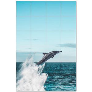 dolphin ceramic tile wall mural kitchen backsplash bathroom shower p500505