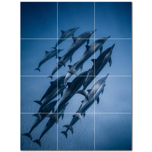 dolphin ceramic tile wall mural kitchen backsplash bathroom shower p500508