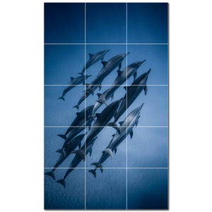 dolphin ceramic tile wall mural kitchen backsplash bathroom shower p500508