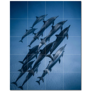 dolphin ceramic tile wall mural kitchen backsplash bathroom shower p500508