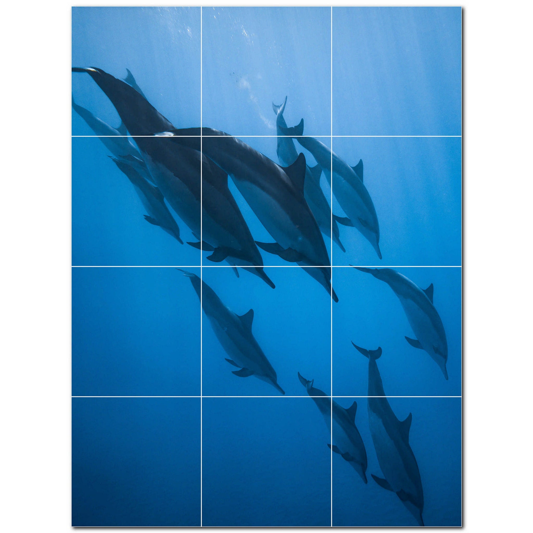 dolphin ceramic tile wall mural kitchen backsplash bathroom shower p500509