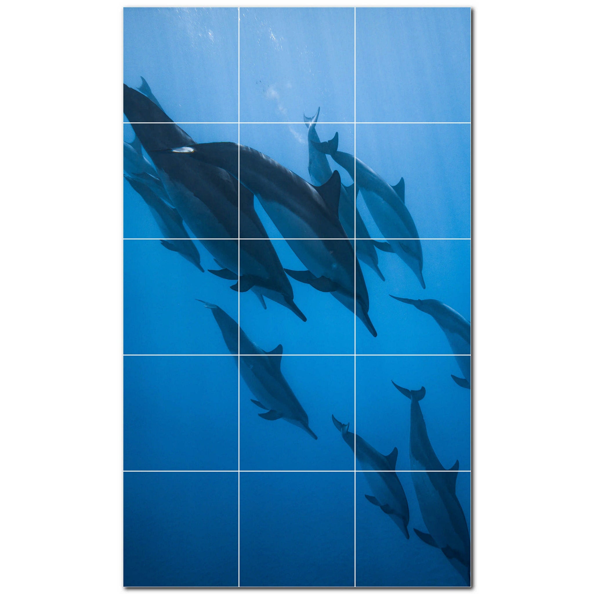 dolphin ceramic tile wall mural kitchen backsplash bathroom shower p500509