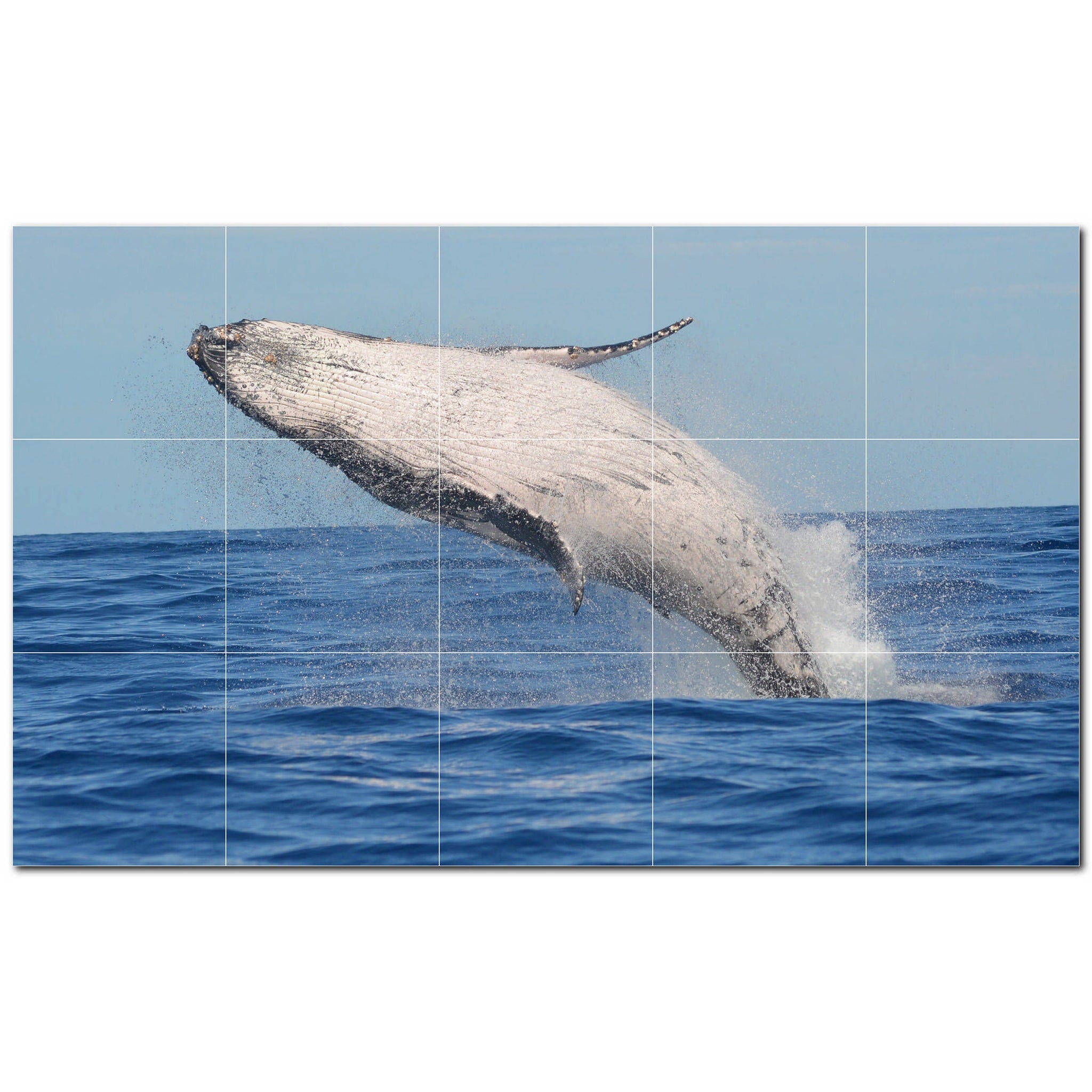 dolphin ceramic tile wall mural kitchen backsplash bathroom shower p500510