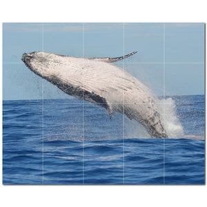 dolphin ceramic tile wall mural kitchen backsplash bathroom shower p500510