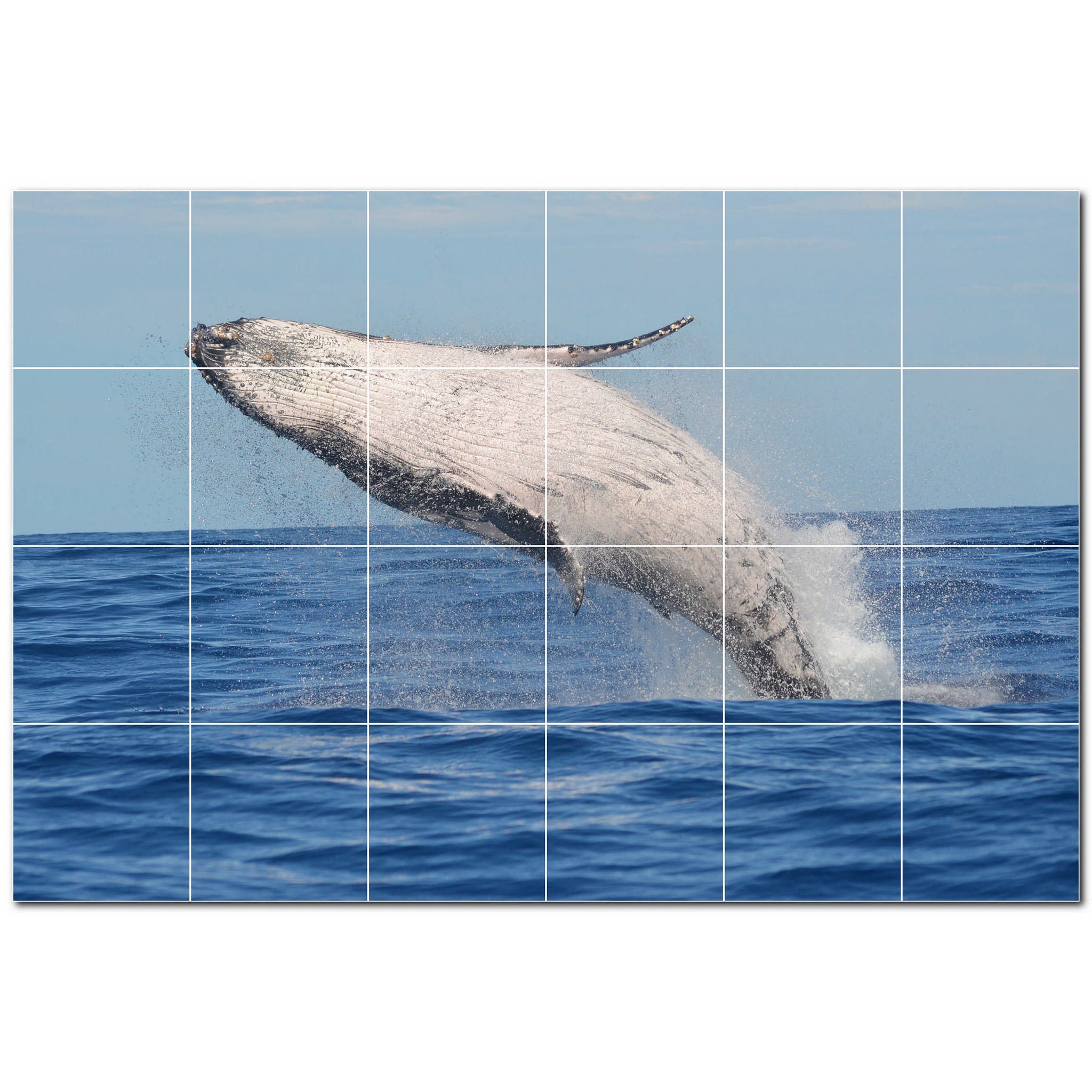 dolphin ceramic tile wall mural kitchen backsplash bathroom shower p500510