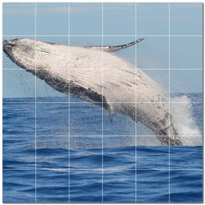 dolphin ceramic tile wall mural kitchen backsplash bathroom shower p500510