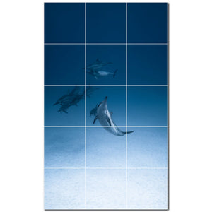 dolphin ceramic tile wall mural kitchen backsplash bathroom shower p500512