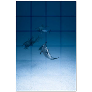 dolphin ceramic tile wall mural kitchen backsplash bathroom shower p500512
