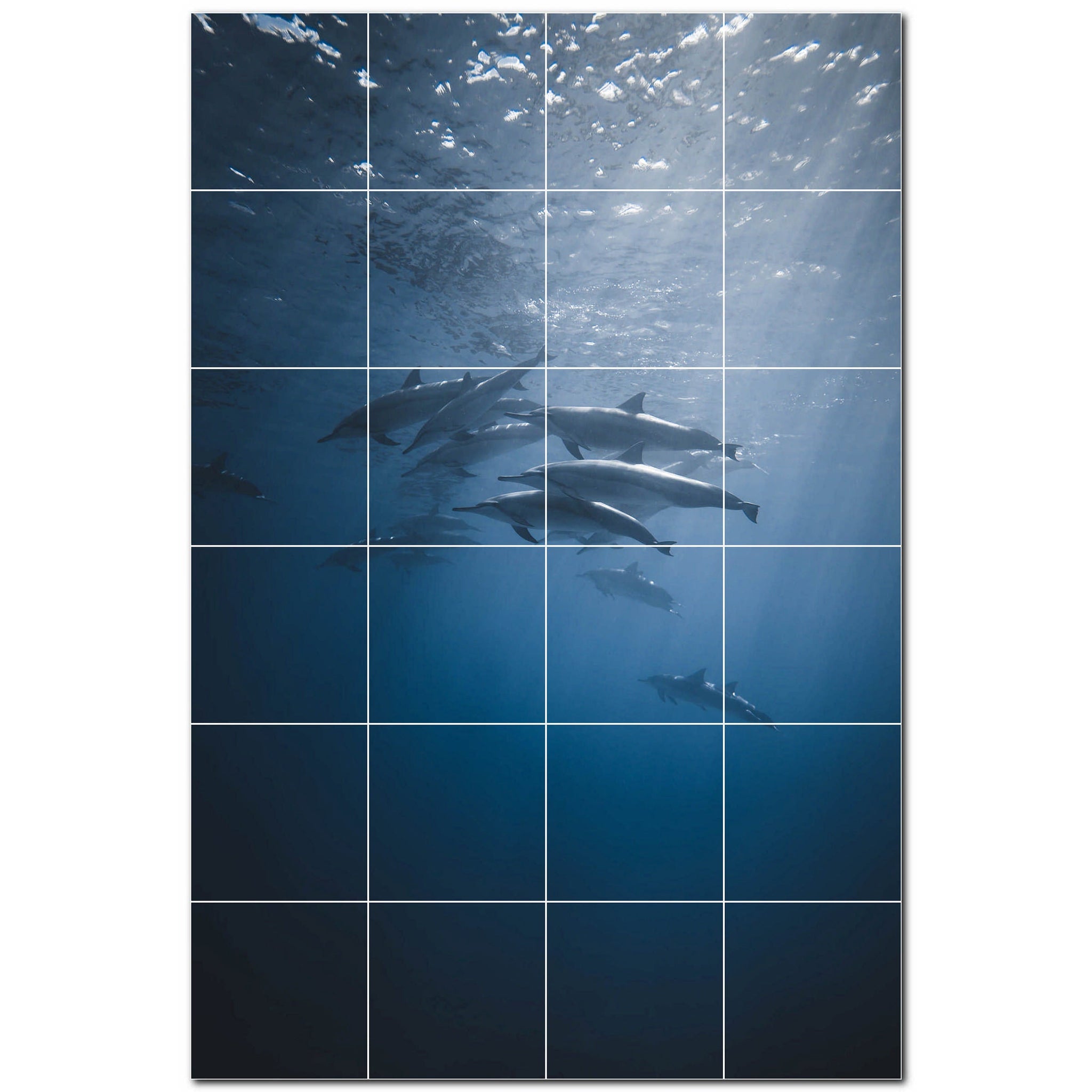 dolphin ceramic tile wall mural kitchen backsplash bathroom shower p500513