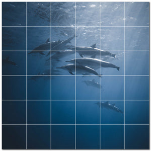 dolphin ceramic tile wall mural kitchen backsplash bathroom shower p500513