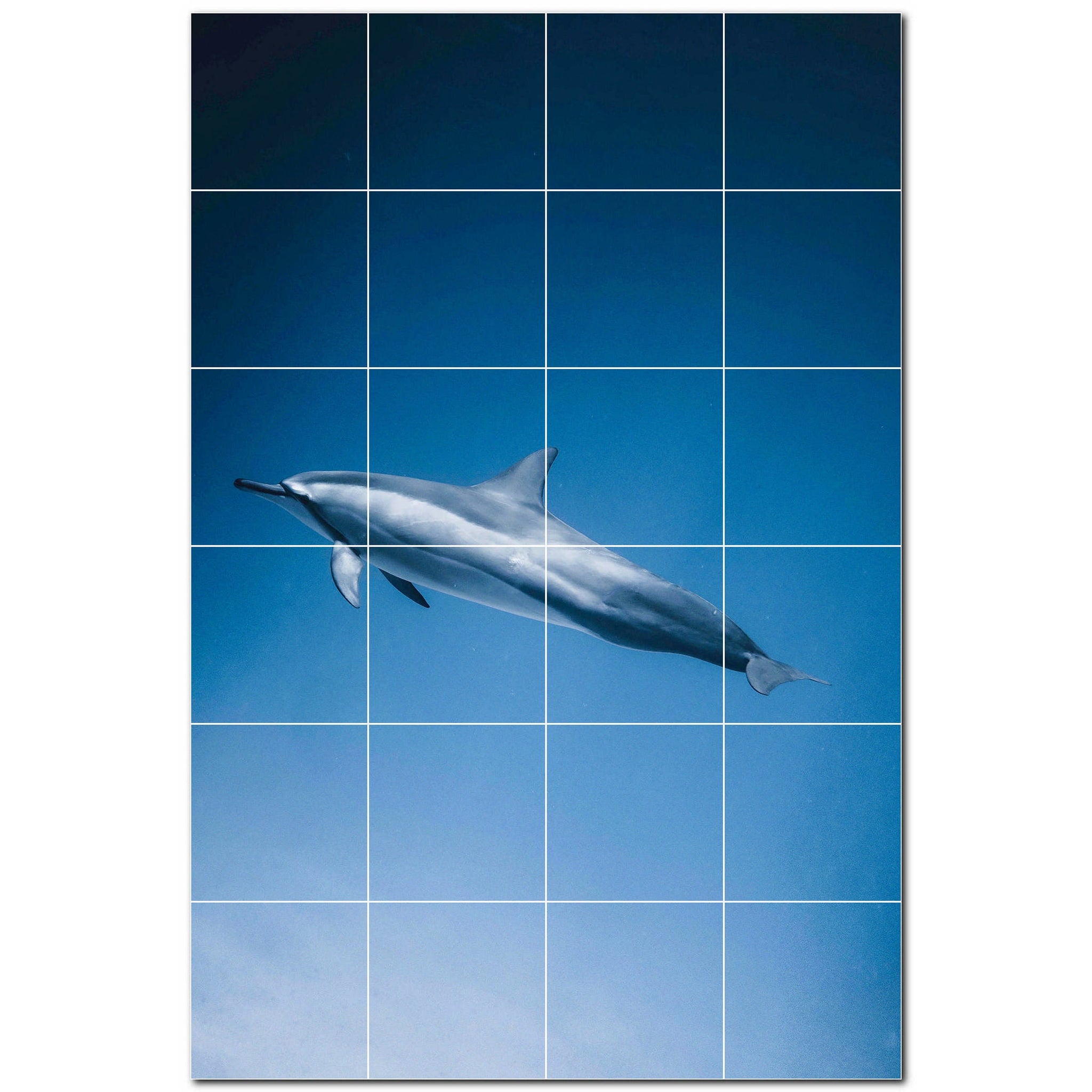 dolphin ceramic tile wall mural kitchen backsplash bathroom shower p500514