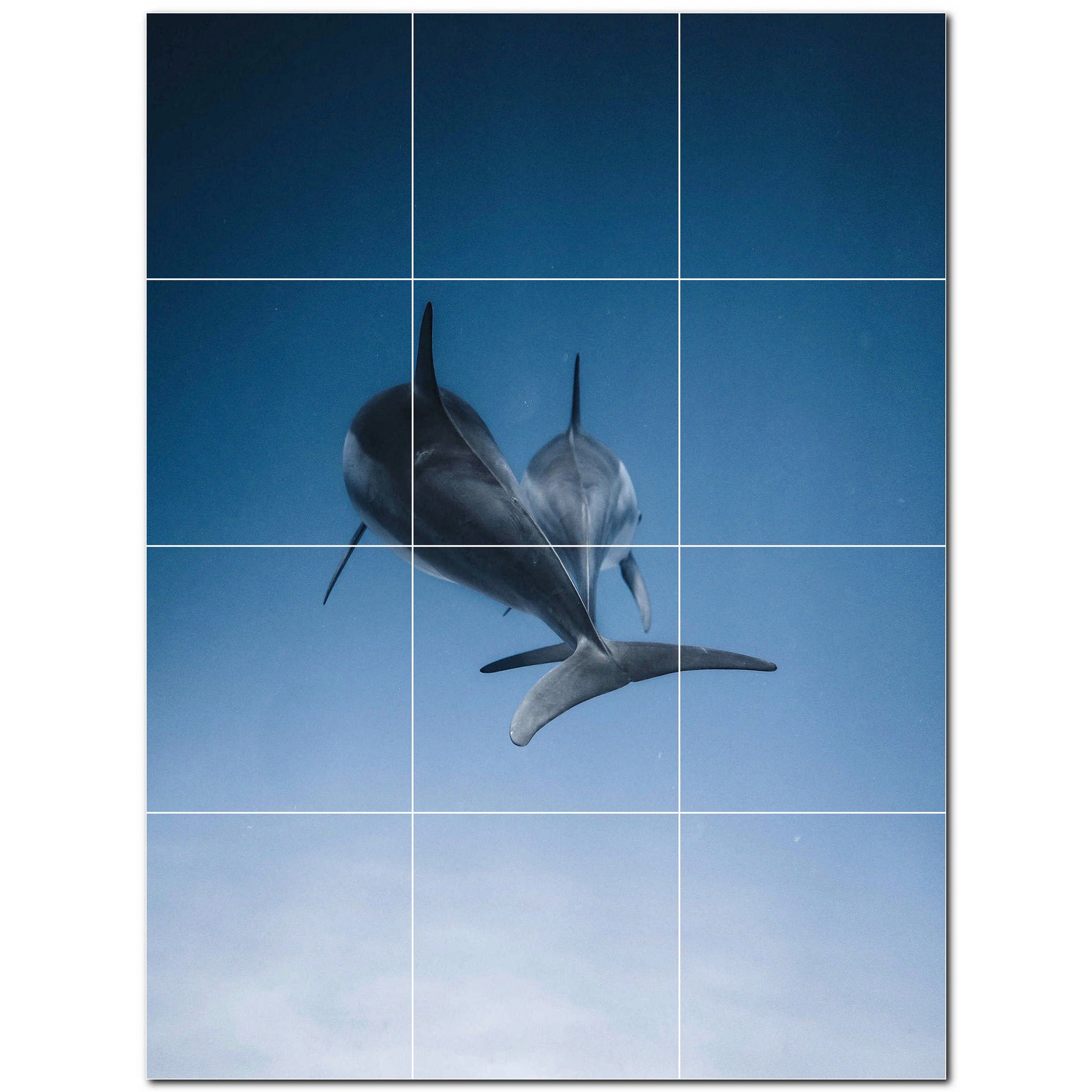 dolphin ceramic tile wall mural kitchen backsplash bathroom shower p500515