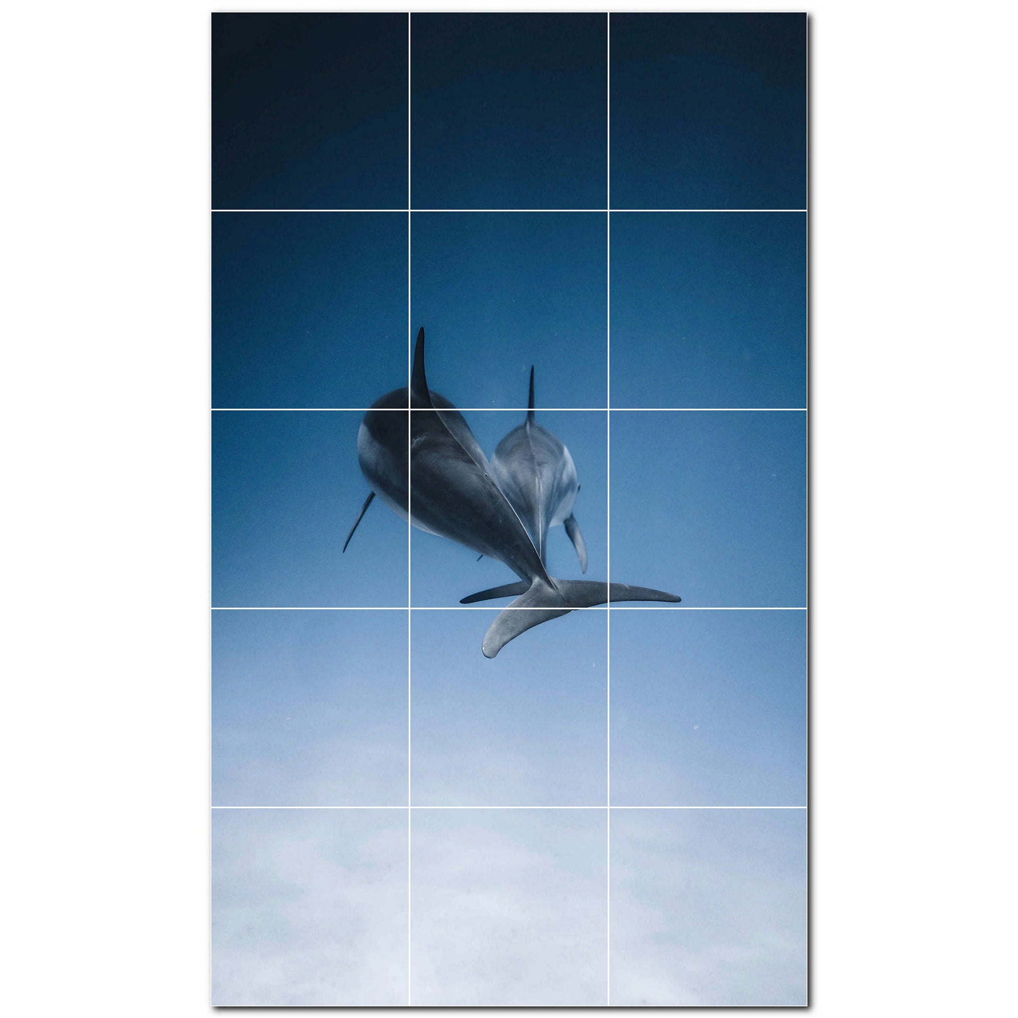 dolphin ceramic tile wall mural kitchen backsplash bathroom shower p500515