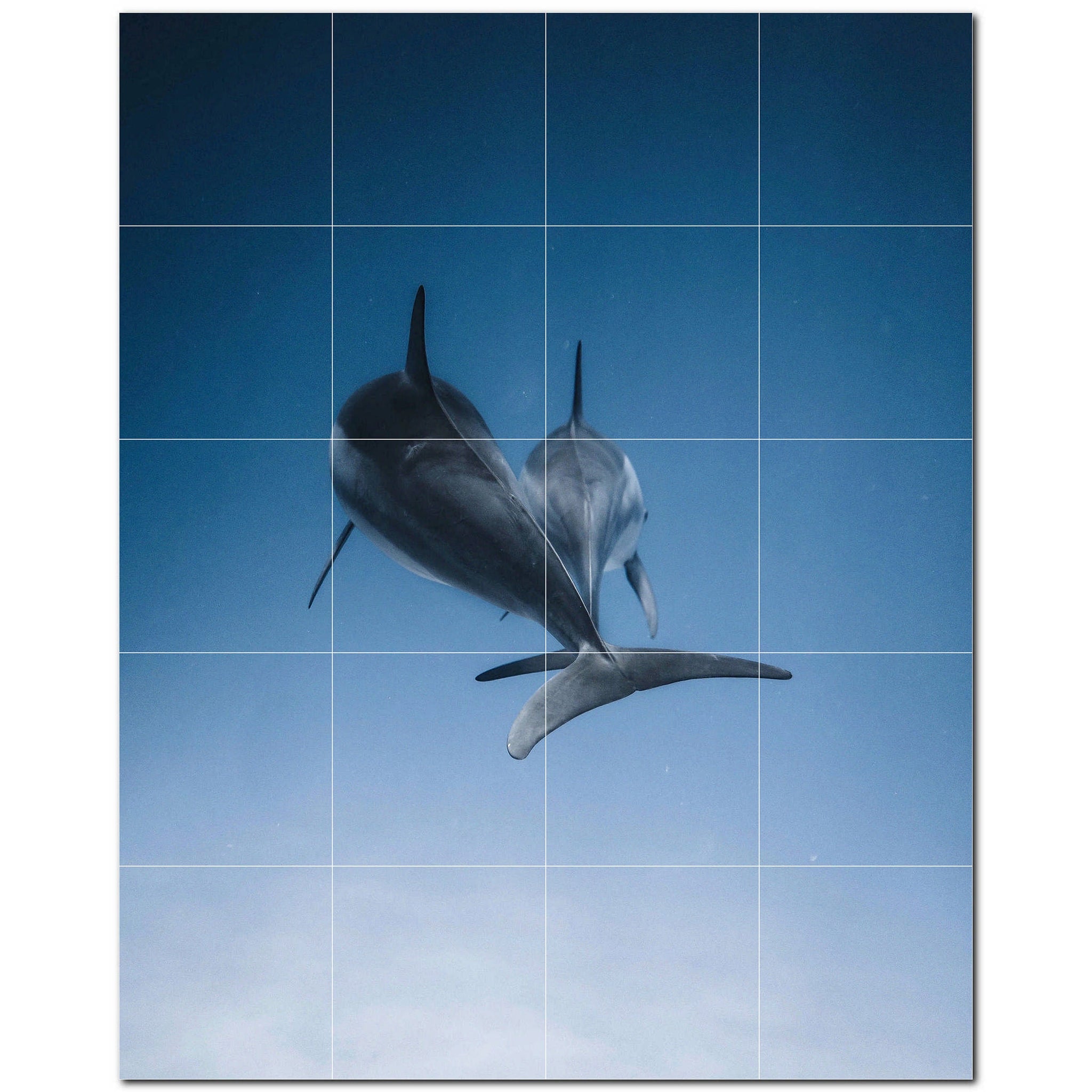 dolphin ceramic tile wall mural kitchen backsplash bathroom shower p500515