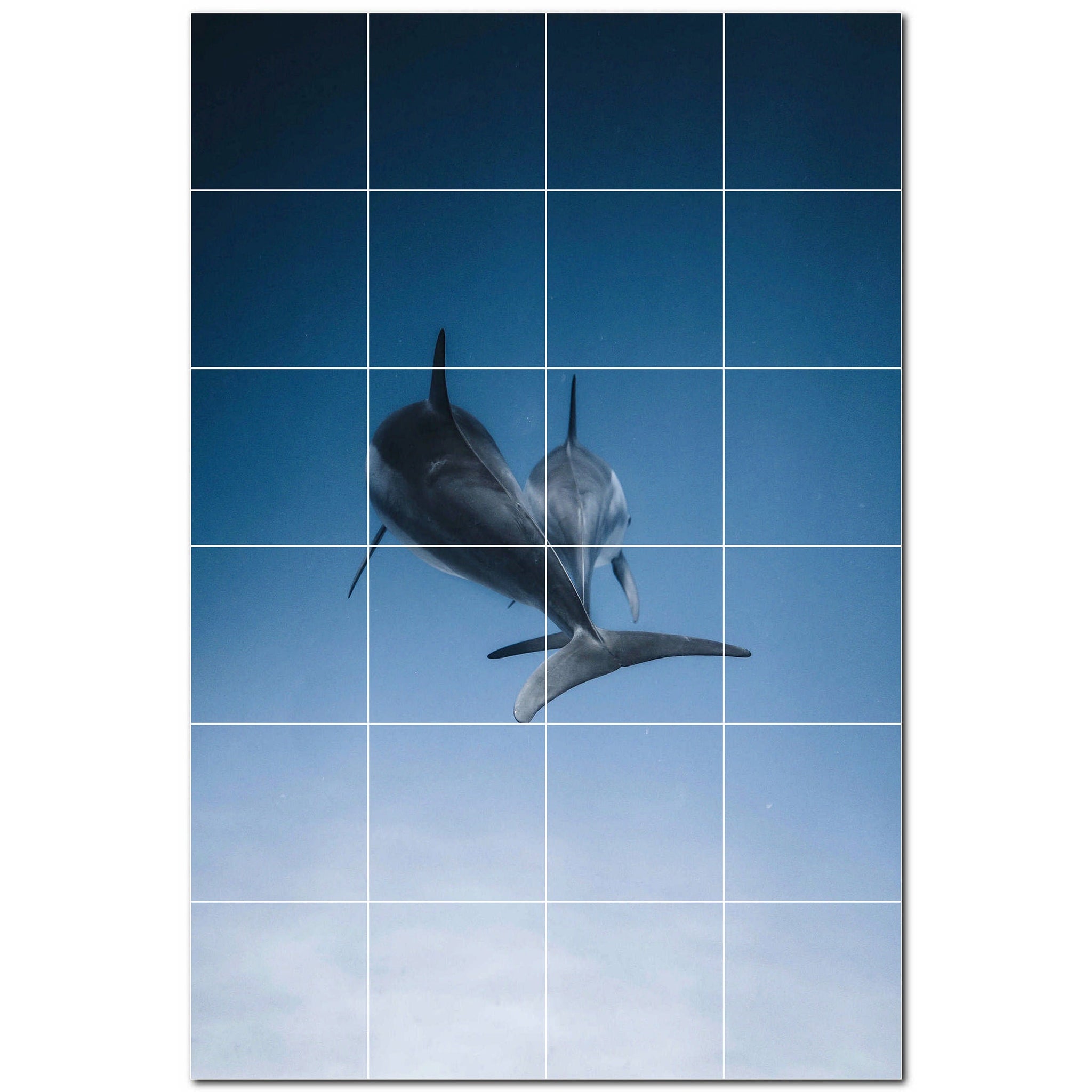 dolphin ceramic tile wall mural kitchen backsplash bathroom shower p500515