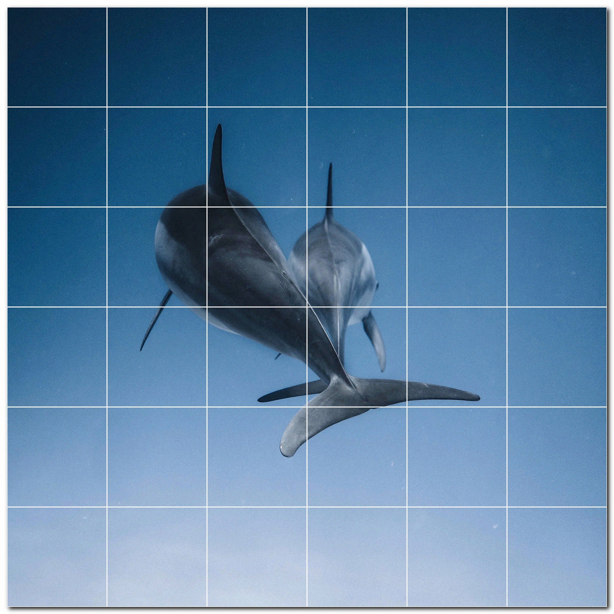 dolphin ceramic tile wall mural kitchen backsplash bathroom shower p500515