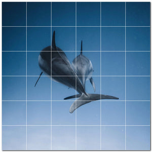 dolphin ceramic tile wall mural kitchen backsplash bathroom shower p500515