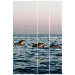 dolphin ceramic tile wall mural kitchen backsplash bathroom shower p500516