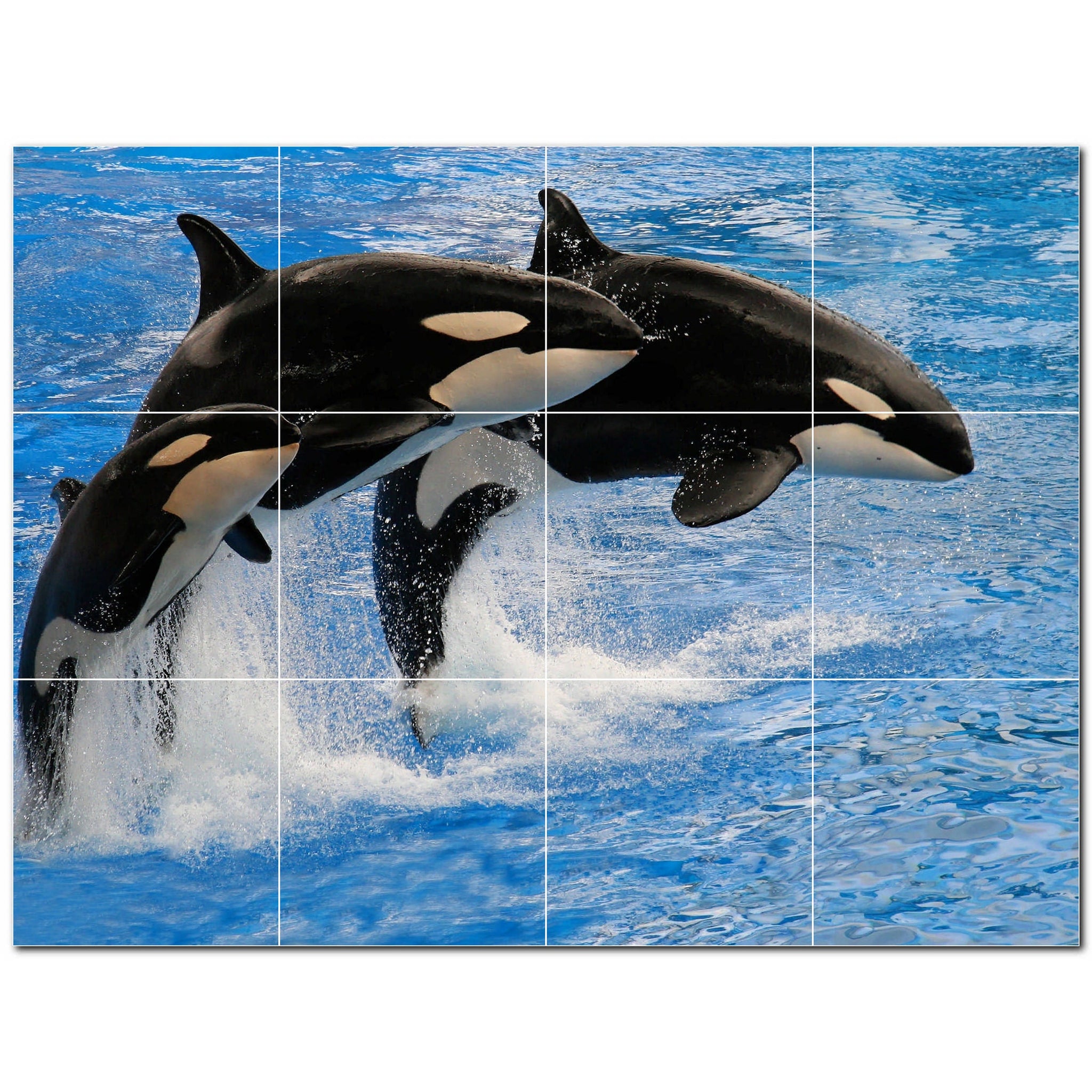 dolphin ceramic tile wall mural kitchen backsplash bathroom shower p500518