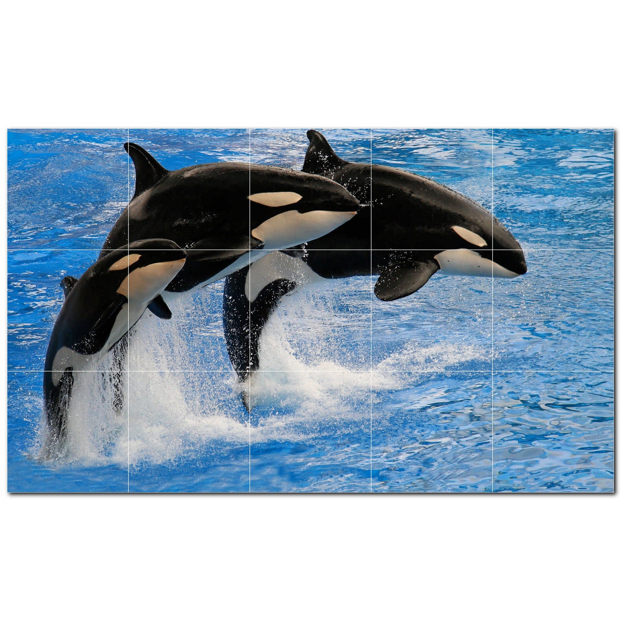 dolphin ceramic tile wall mural kitchen backsplash bathroom shower p500518