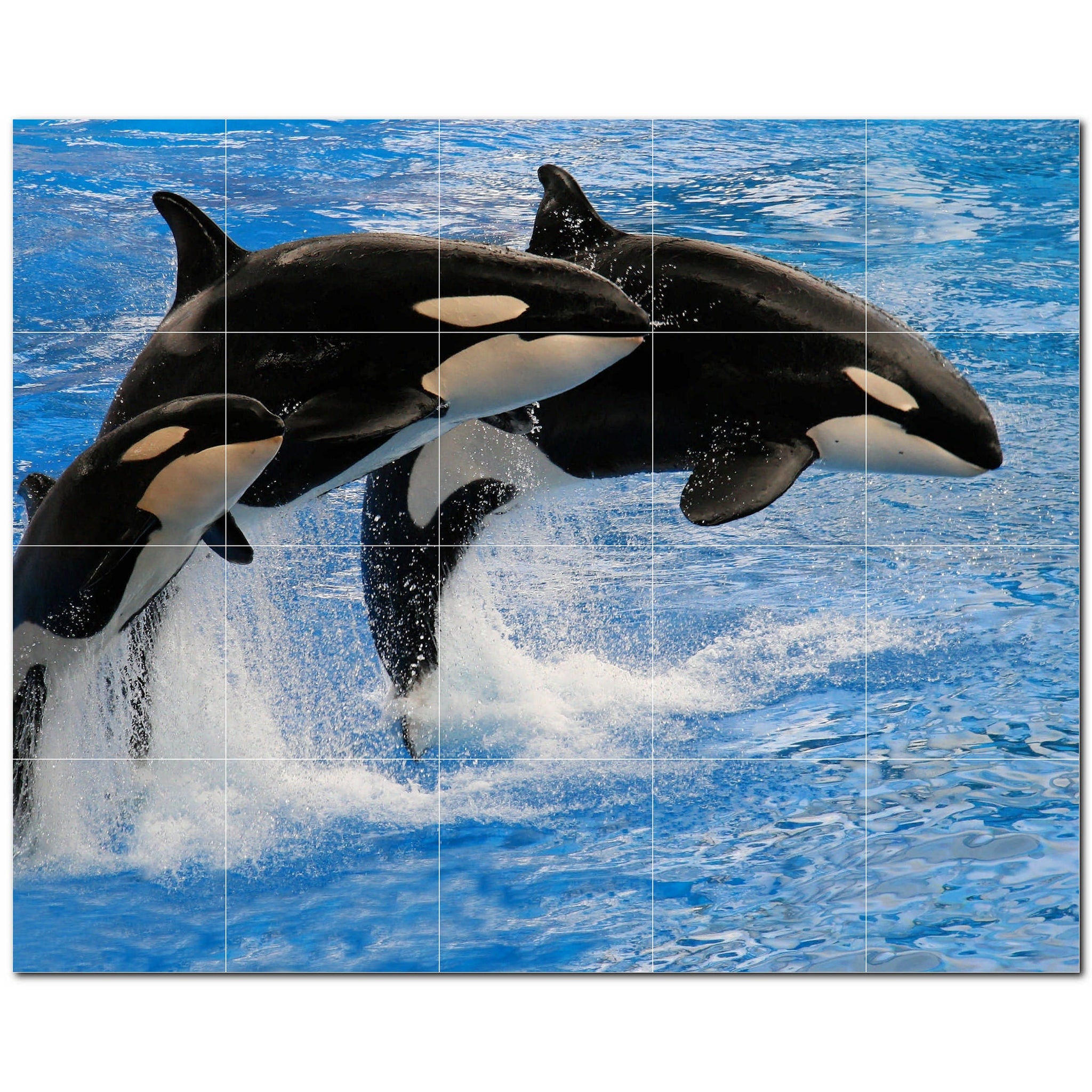 dolphin ceramic tile wall mural kitchen backsplash bathroom shower p500518