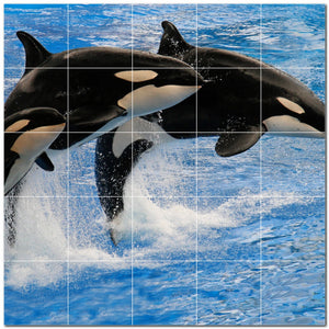 dolphin ceramic tile wall mural kitchen backsplash bathroom shower p500518