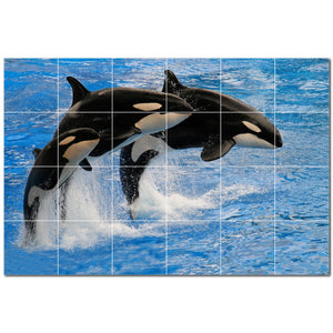 dolphin ceramic tile wall mural kitchen backsplash bathroom shower p500518