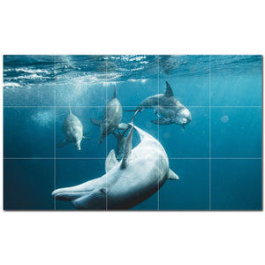 dolphin ceramic tile wall mural kitchen backsplash bathroom shower p500522