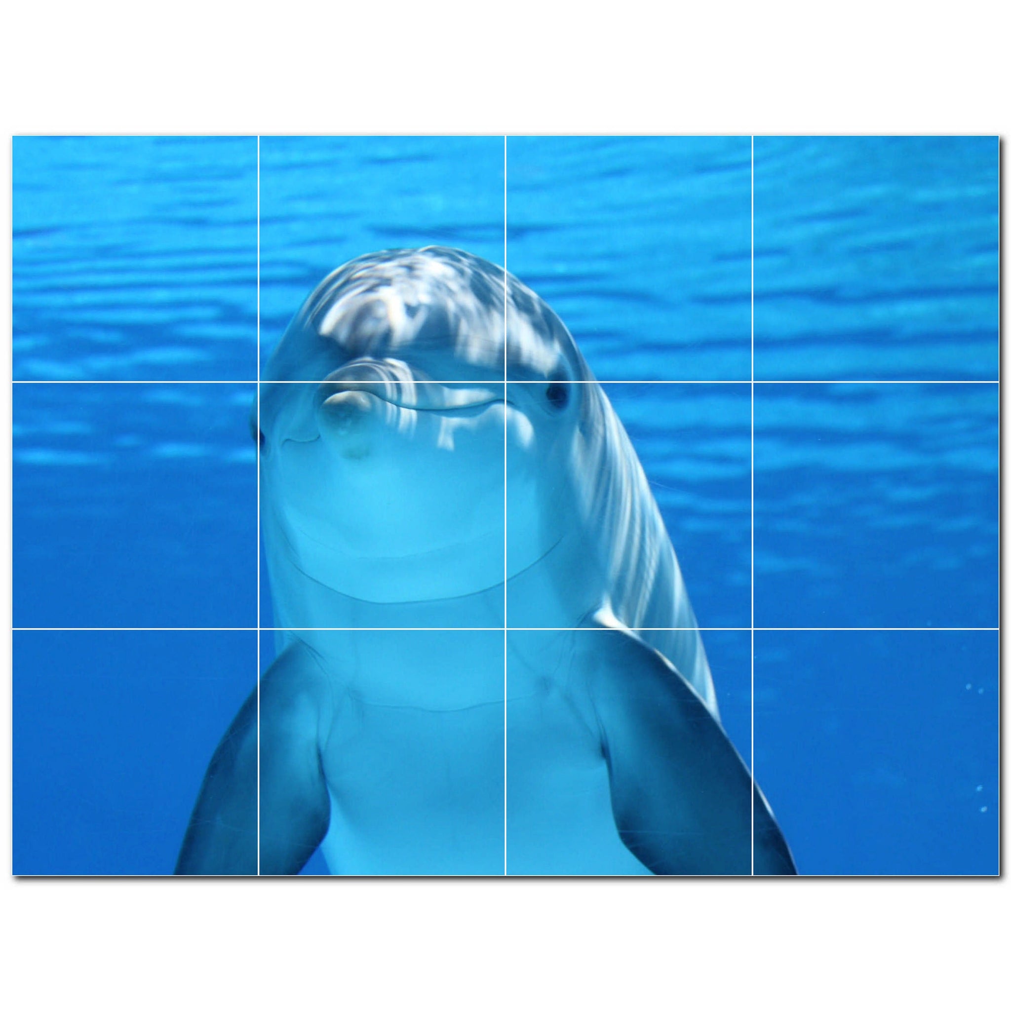 dolphin ceramic tile wall mural kitchen backsplash bathroom shower p500524