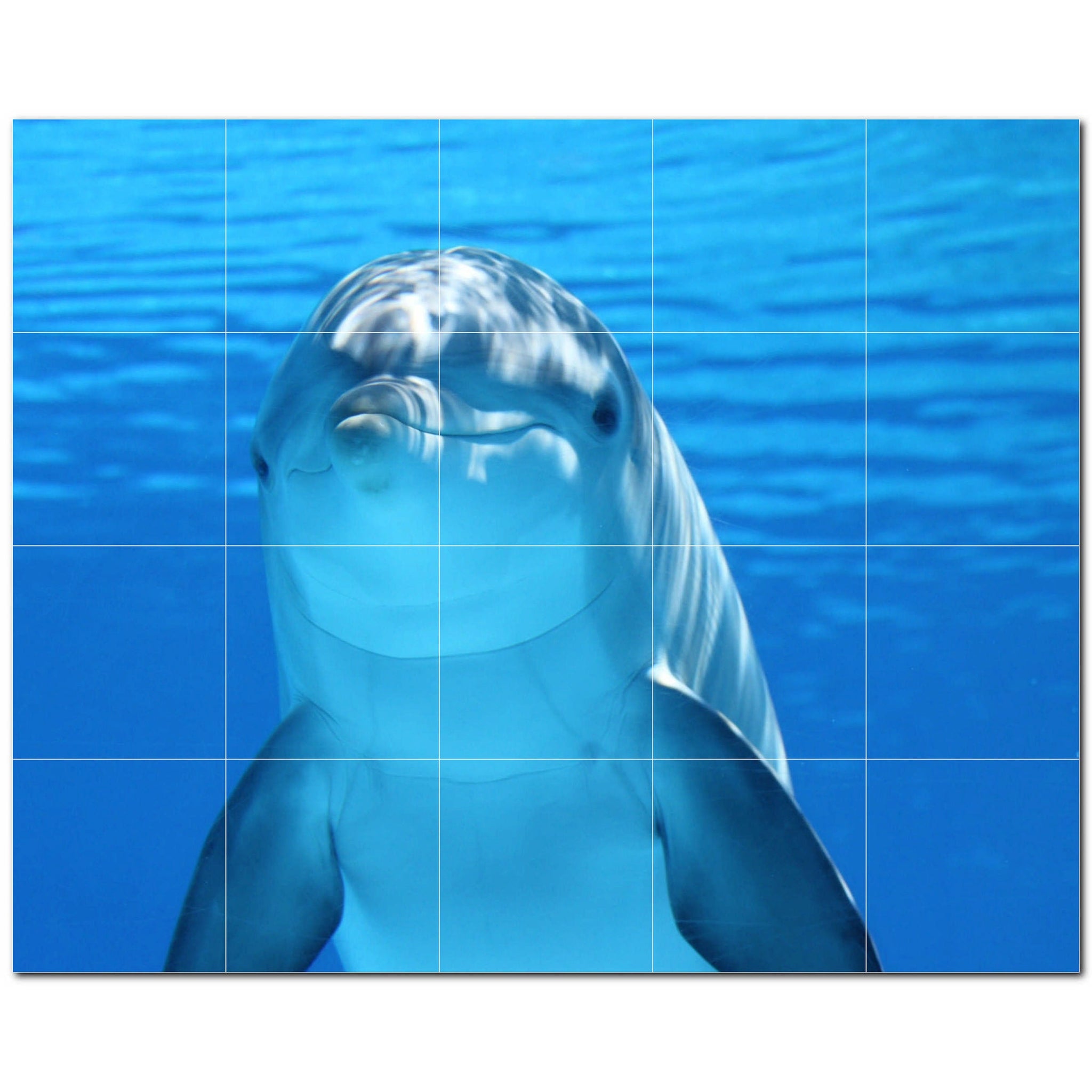 dolphin ceramic tile wall mural kitchen backsplash bathroom shower p500524