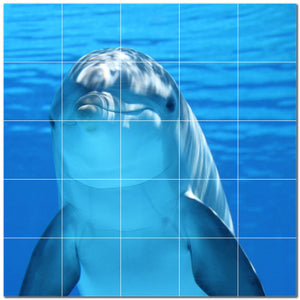 dolphin ceramic tile wall mural kitchen backsplash bathroom shower p500524