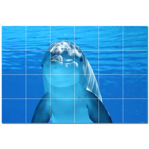 dolphin ceramic tile wall mural kitchen backsplash bathroom shower p500524