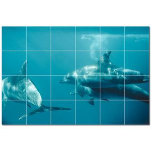 dolphin ceramic tile wall mural kitchen backsplash bathroom shower p500525