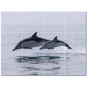 dolphin ceramic tile wall mural kitchen backsplash bathroom shower p500526