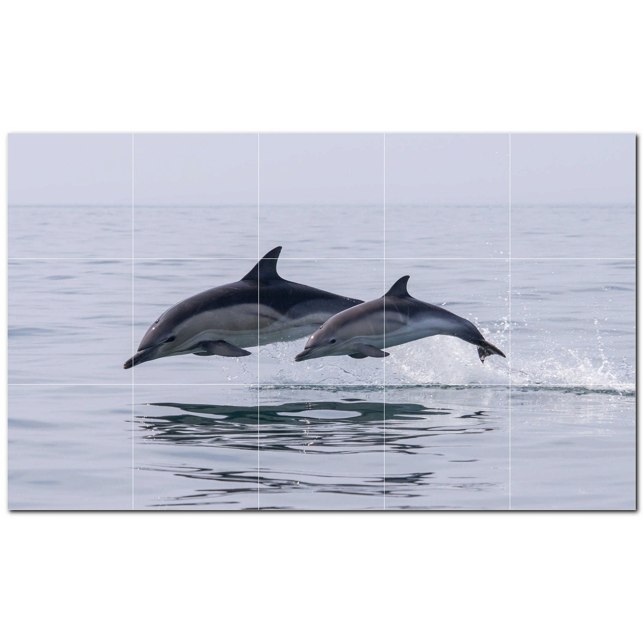 dolphin ceramic tile wall mural kitchen backsplash bathroom shower p500526