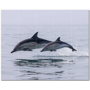 dolphin ceramic tile wall mural kitchen backsplash bathroom shower p500526