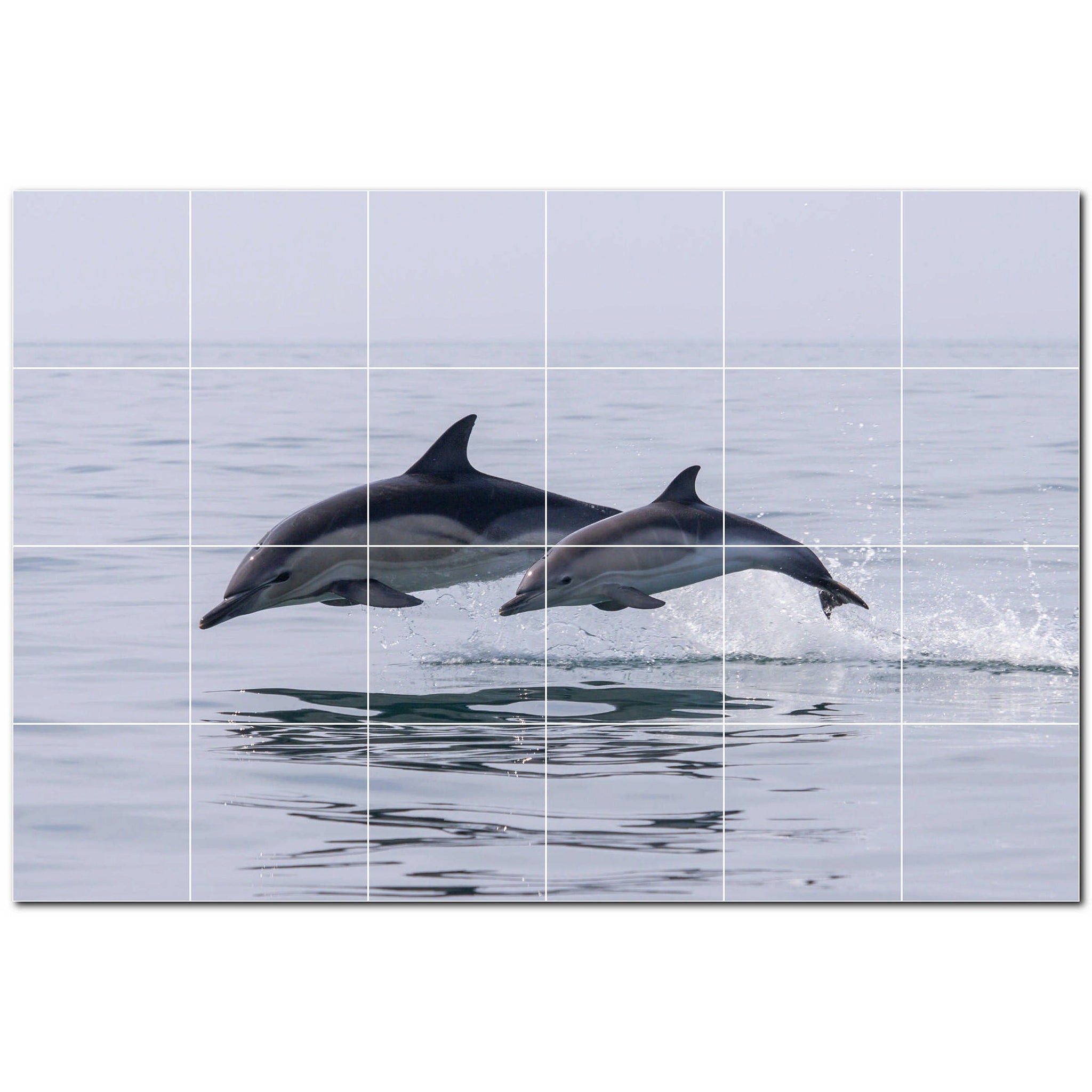 dolphin ceramic tile wall mural kitchen backsplash bathroom shower p500526