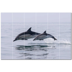 dolphin ceramic tile wall mural kitchen backsplash bathroom shower p500526