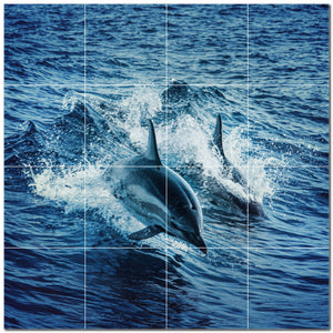 dolphin ceramic tile wall mural kitchen backsplash bathroom shower p500527