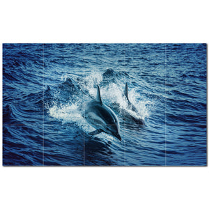 dolphin ceramic tile wall mural kitchen backsplash bathroom shower p500527