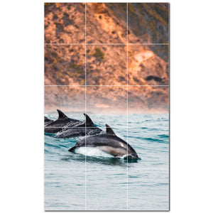 dolphin ceramic tile wall mural kitchen backsplash bathroom shower p500529