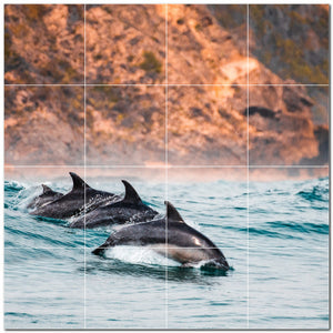 dolphin ceramic tile wall mural kitchen backsplash bathroom shower p500529