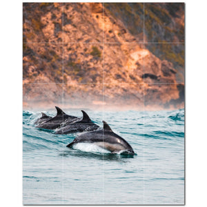 dolphin ceramic tile wall mural kitchen backsplash bathroom shower p500529